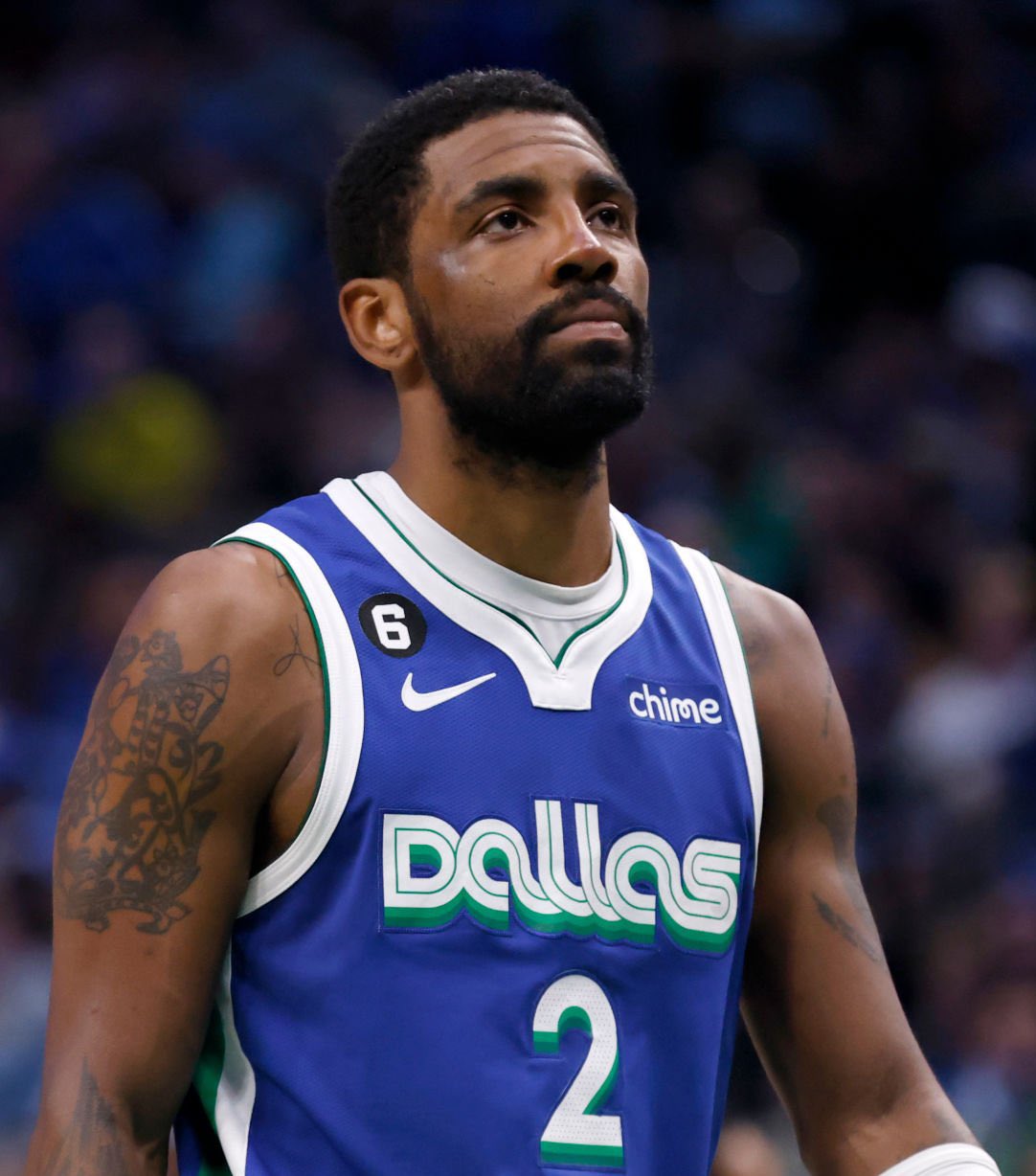 新的缓震科 新的缓震科