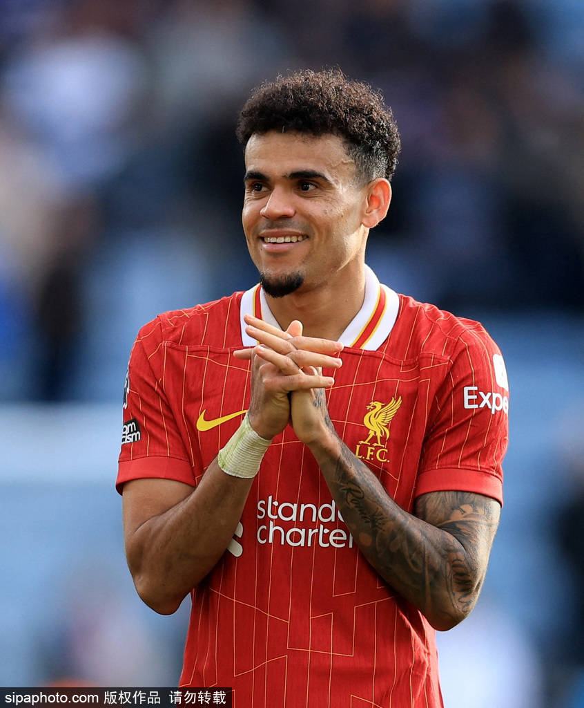 他们成功打 他们成功打