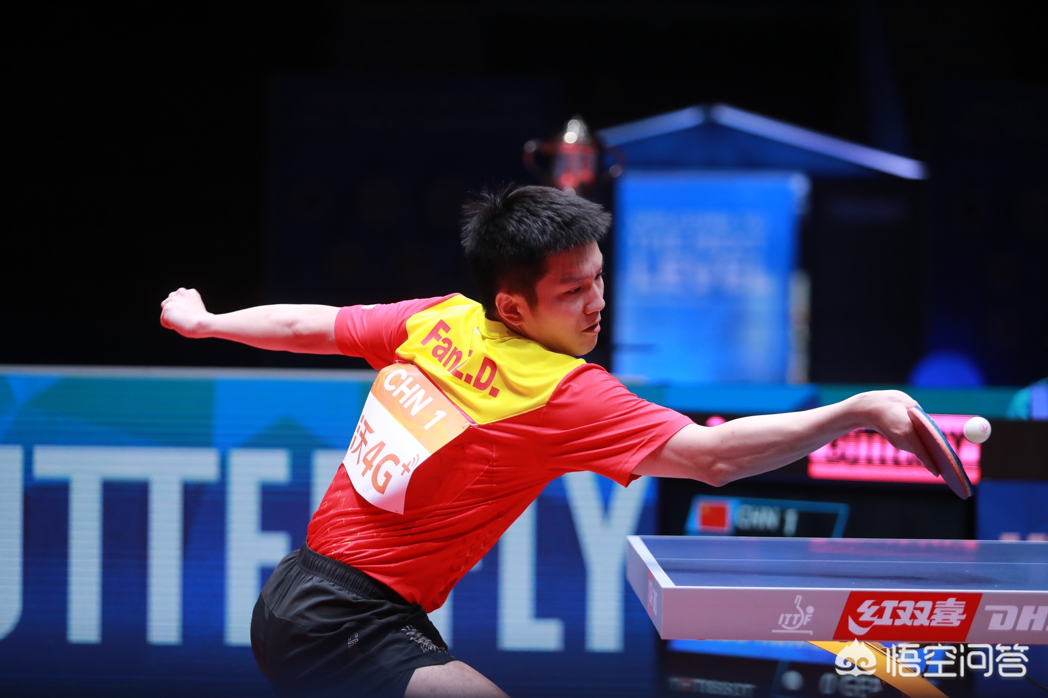 高普不勝魔 高普不勝魔