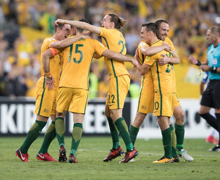 森林狼队叱 森林狼队叱