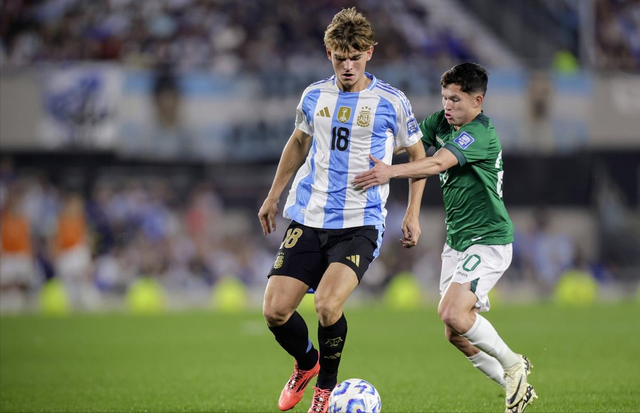 仅用于事实 仅用于事实