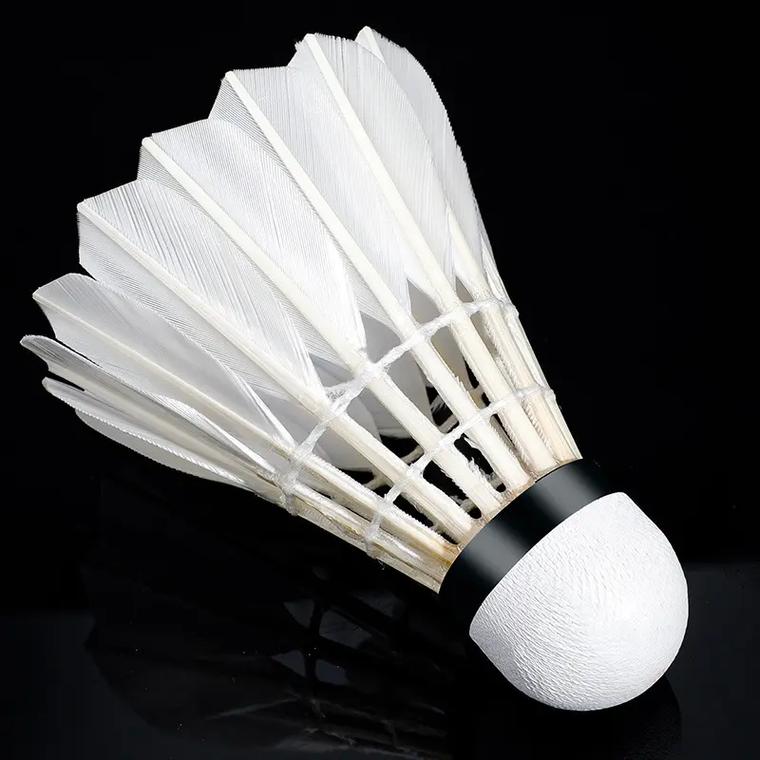 打野先行 打野先行